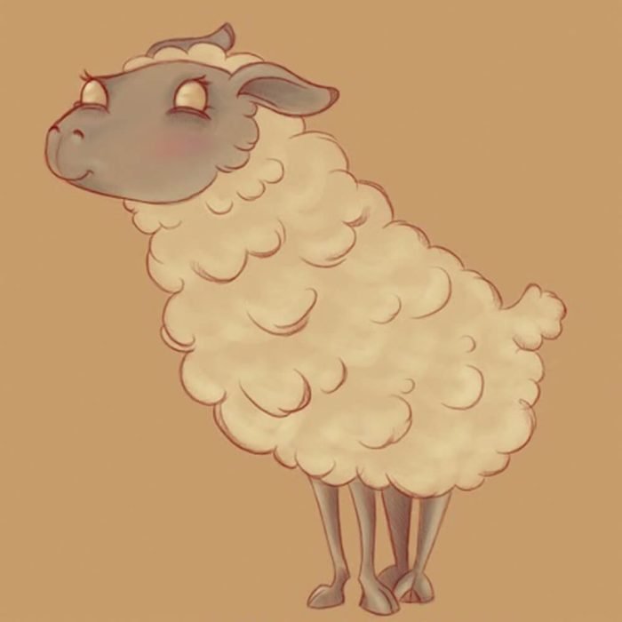 SQUARE_Sheepie